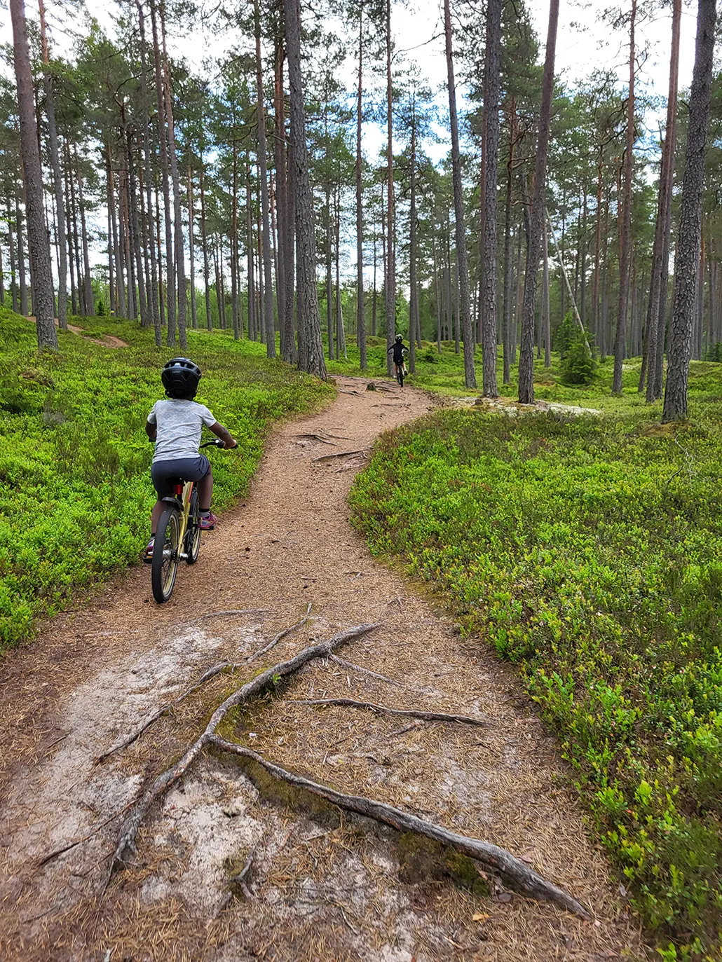 Kaksi lasta pyöräilee metsäpolulla